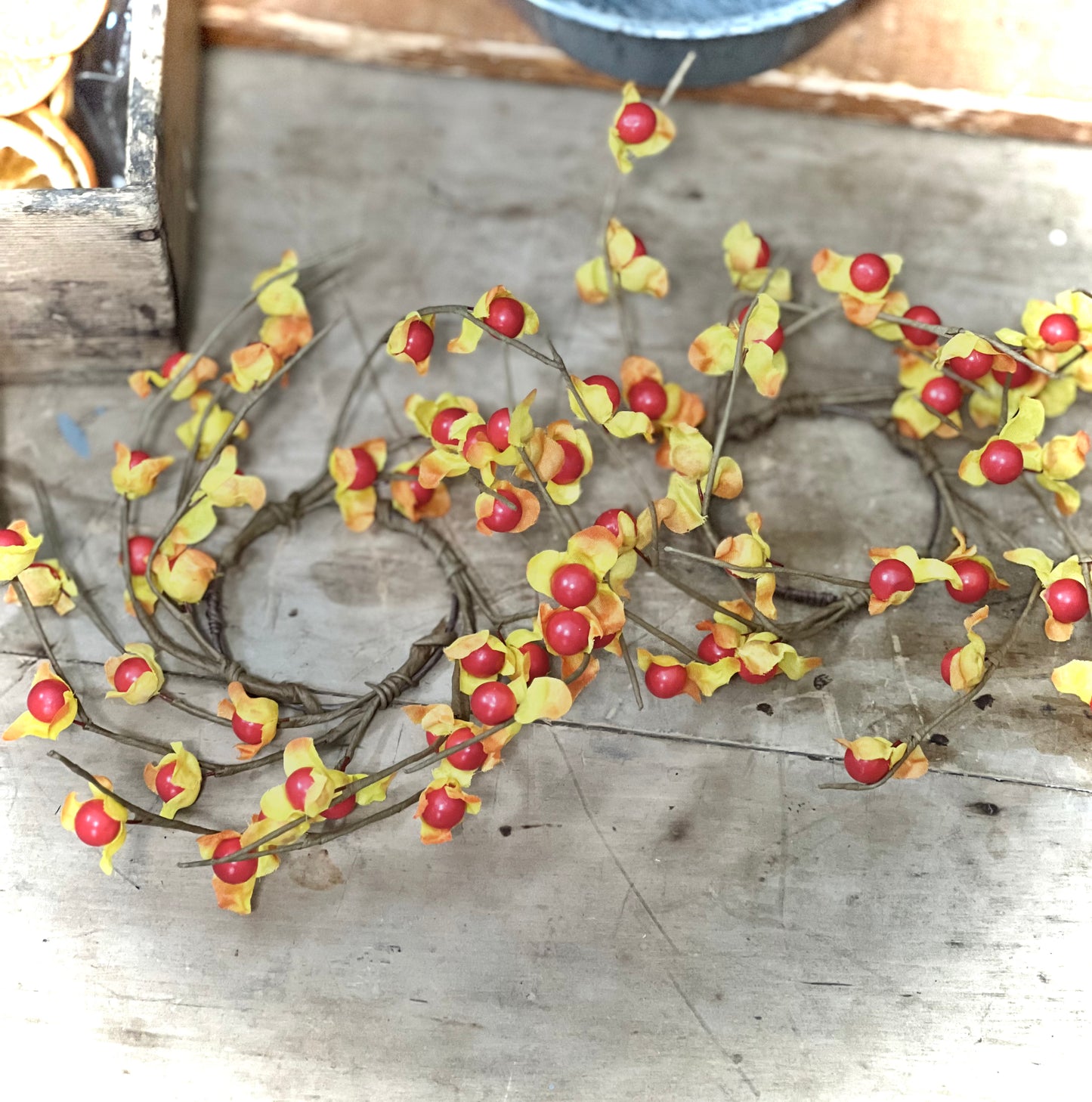 Fall- bittersweet rings