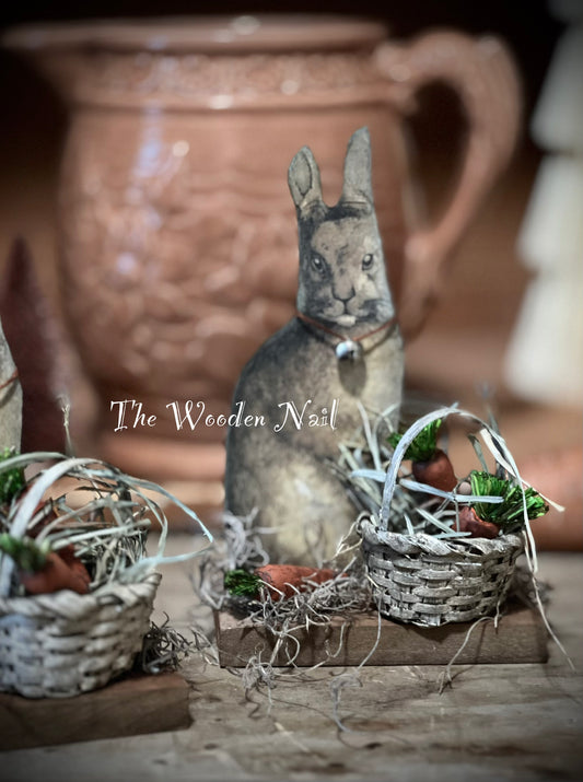 Spring- Rabbit display
