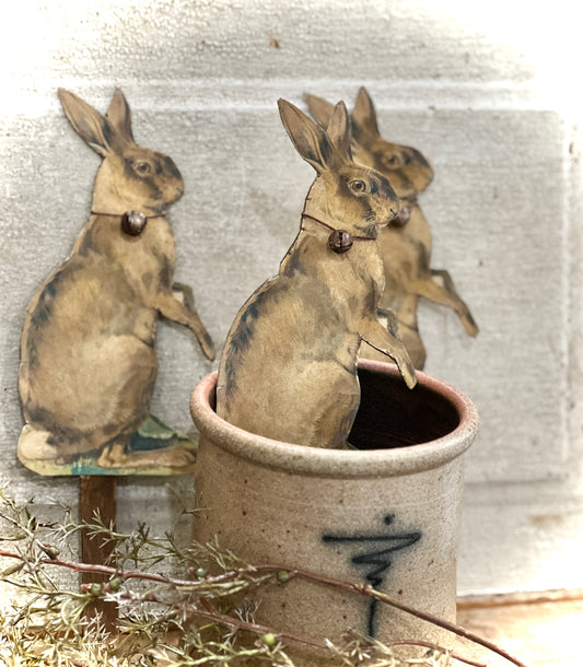 Spring - Rabbit poke