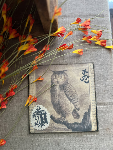 Owl Cupboard Print